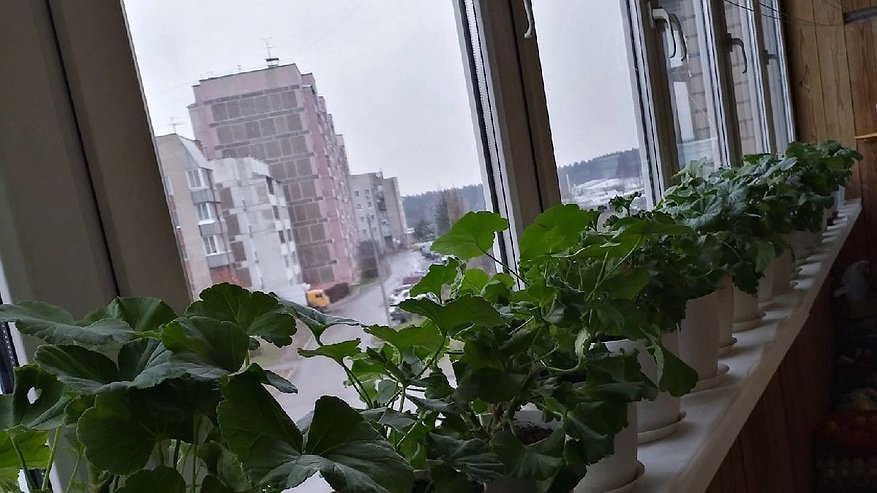 Главная картинка новости: Как утеплить лоджию своими руками: пошаговая инструкция для новичков