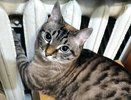 Прикрепляем бутылку и бинт к батарее – и с комфортом живем всю зиму: гениальный способ решения надоевшей проблемы