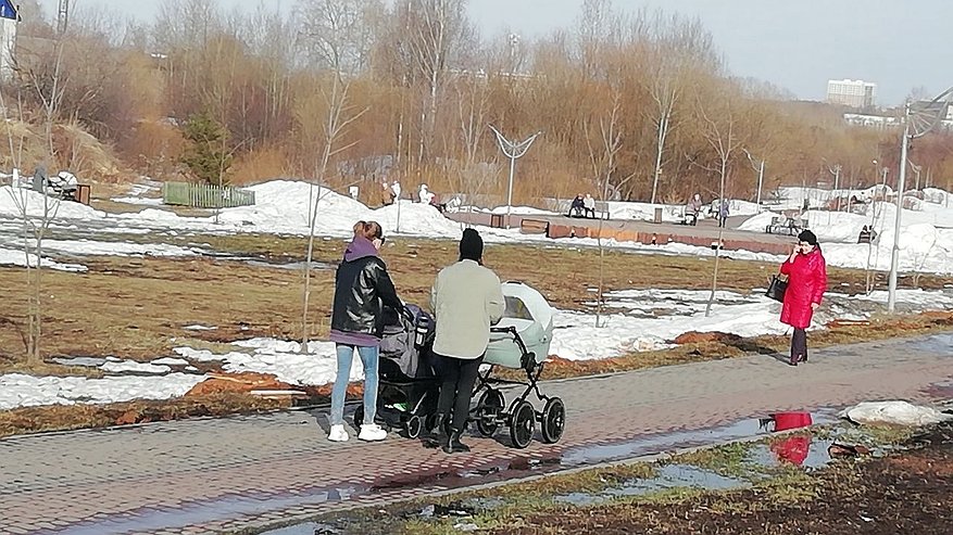 Главная картинка новости: В Костроме в выходные потеплеет до плюс 6°С
