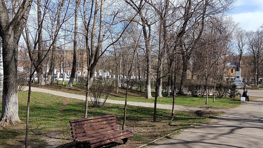 Главная картинка новости: В Костроме дерево около больницы упало на припаркованное авто
