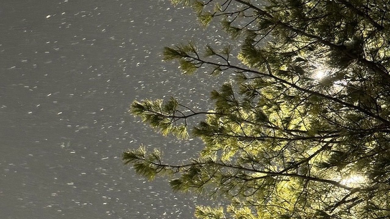 Главная картинка новости: Аномалии не прекращаются: известный синоптик дал прогноз погоды на конец ноября — ждите гадких сюрпризов