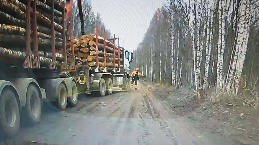 Главная картинка новости: В Костромской области из-за лесовозов ученики лишились школьного автобуса