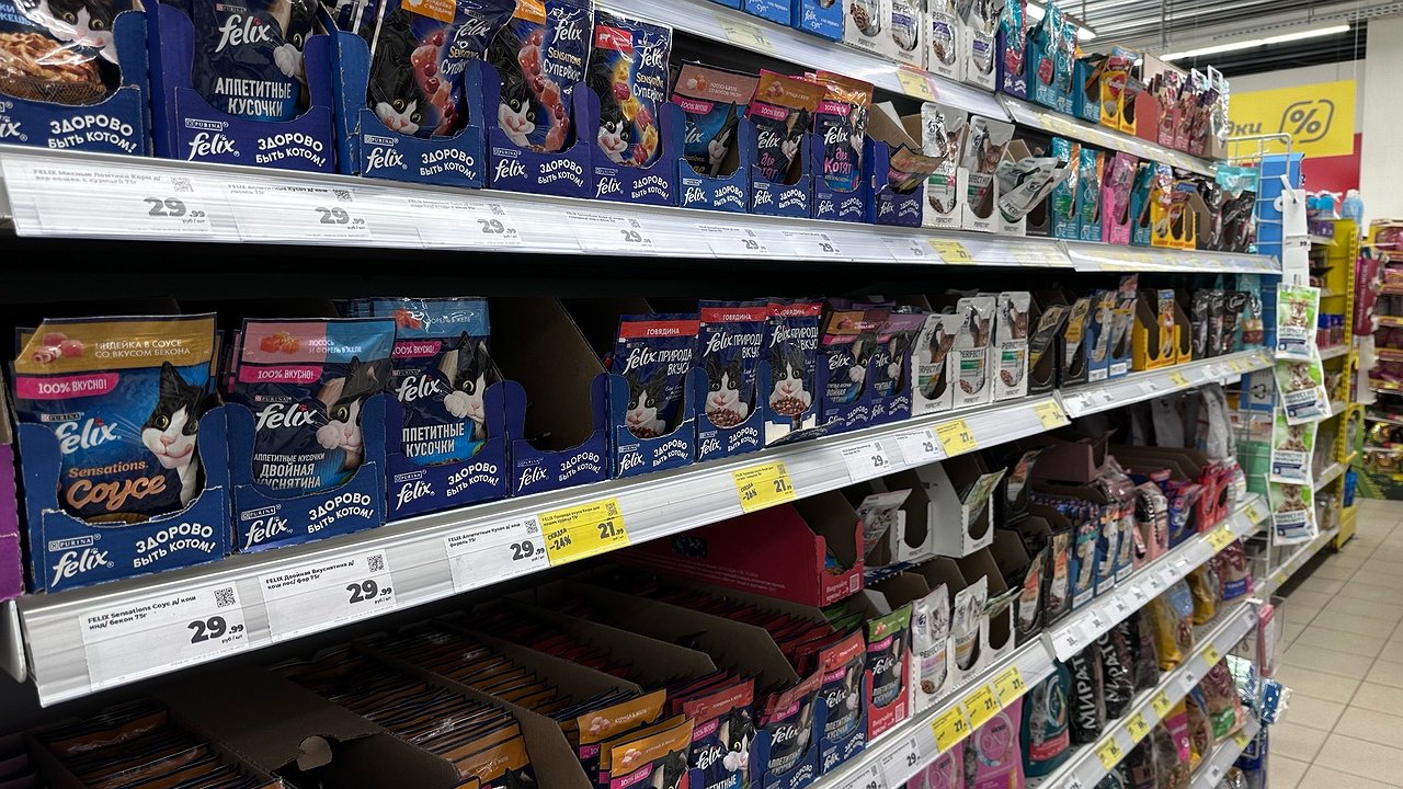 Главная картинка новости: Не травите этим кошек: в Роскачестве озвучили самые вредные марки корма для питомцев
