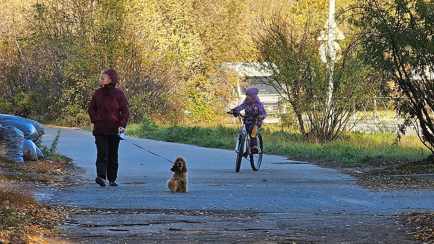 Главная картинка новости: Владимир Путин подписал закон о пропаганде чайлдфри