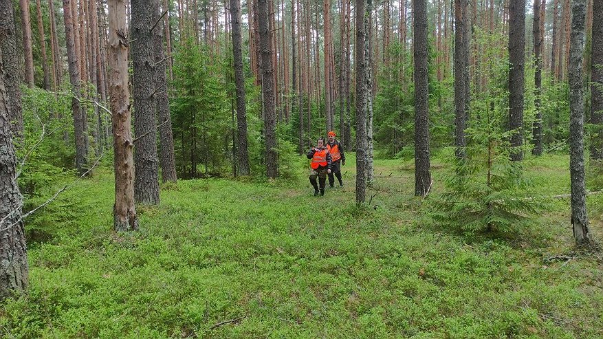 Главная картинка новости: В Костромской области разыскивают 12-летнего мальчика в синей куртке с надписью Nike на спине