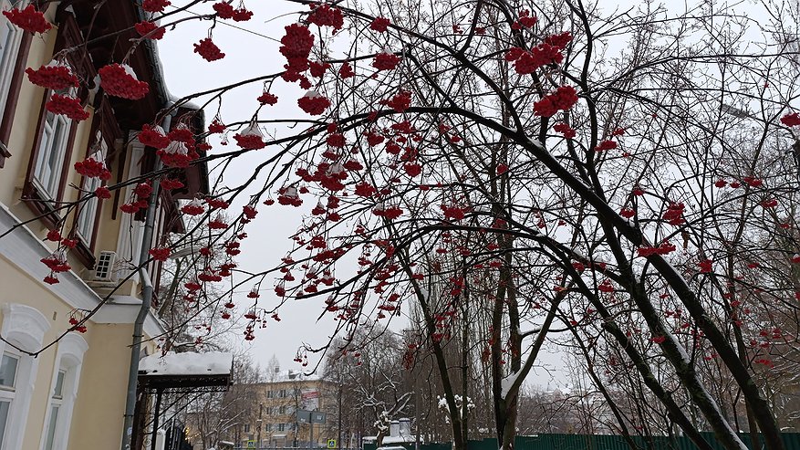Главная картинка новости: В декабре будет три доплаты к пенсии. Пенсионерам России объявили о сюрпризе