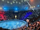 В Костромском цирке попрощались с легендарным сотрудником