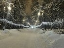 В Костроме 28 и 29 декабря прогнозируется солнце и мокрый снег