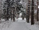 Синоптики рассказали, к чему готовиться с 1 января: такой зимы на нашем веку точно не было
