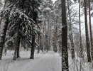 Зима в России полностью отменяется: синоптик Вильфанд рассказал о погоде в январе и феврале этого года