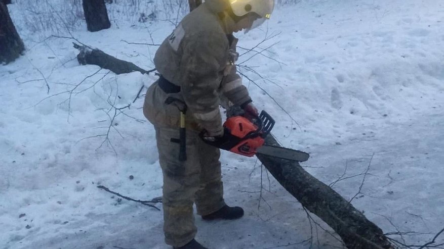 Главная картинка новости: В костромском парке "Берендеевка" ураганный ветер повалил деревья