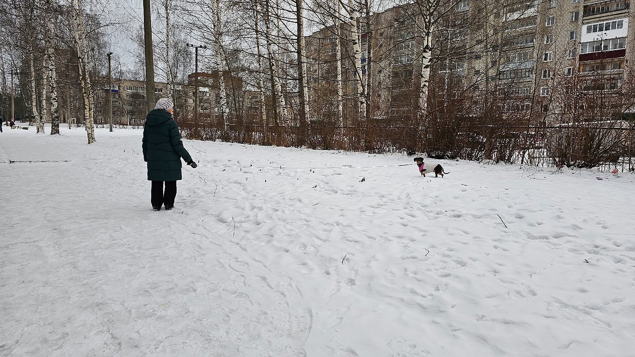 Главная картинка новости: Синоптики рассказали россиянам, к чему готовиться с 7 января этого года: на нашем веку такой зимы еще не было