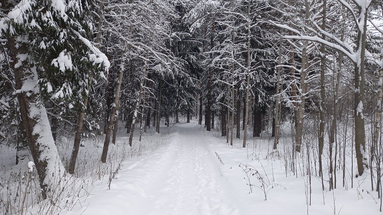 Главная картинка новости: «Февраль и март будут сумасшедшими». Синоптики сказали россиянам, к чему готовиться этой зимой