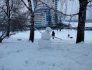 Во всем виновата оттепель? Фестиваль снежно-ледовых скульптур в Костроме перенесли