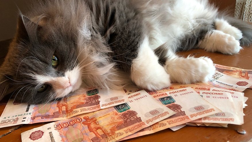 Главная картинка новости: Февральские выплаты проиндексируют только трем категориям россиян: вот кому и на сколько