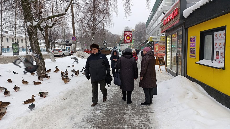 Главная картинка новости: На нашем веку такой зимы еще не было: синоптики рассказали, к чему готовиться с 1 февраля
