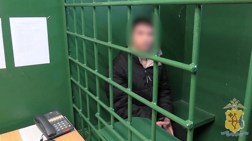 Главная картинка новости: В наличии целы арсенал: костромичка с сыном открыли подпольный интернет-магазин оружия и боеприпасов