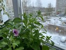 Вильфанд заявил, что аномальная жара наступит в феврале: неужели весна нагрянет на месяц раньше?