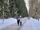 В Костромской области февраль продолжает бить температурные рекорды