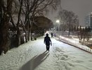 Лютая непогода еще даже не началась: Роман Вильфанд озвучил, что весной нагрянут сумасшедшие морозы