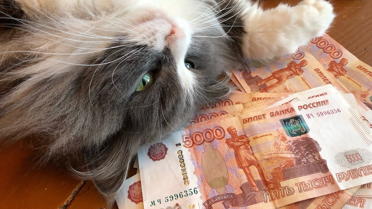 Главная картинка новости: В Костроме пенсионер выиграл миллион рублей в лотерею