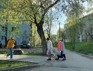 Вильфанд заявил, что аномальная жара наступит в марте: лето наступит на два месяца раньше