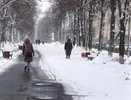 Солнце подготовило "сюрприз": костромичей ждет новая магнитная буря