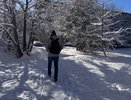 Зима наконец-то закончилась, ее больше не будет: Вильфанд рассказал, какими будут февраль и март