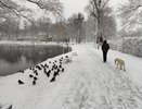 Не сильно радуйтесь "земляничной зиме": россиянам рассказали, каких жутких аномалий ждать от весны