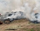 В МЧС рассказали, когда в Костроме начнутся первые лесные пожары