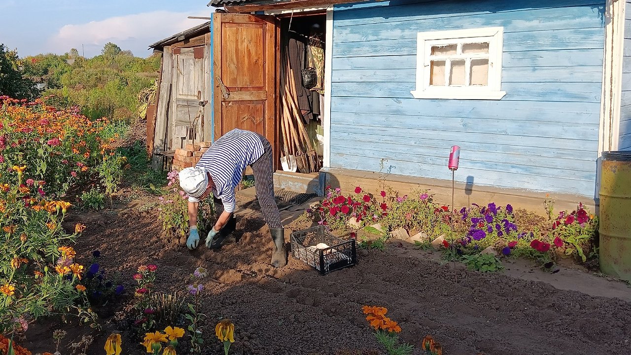 Главная картинка новости: Ваш сарай увидят через спутник и тогда ждите штраф: с 1 марта вводится налог на бани и хозпостройки