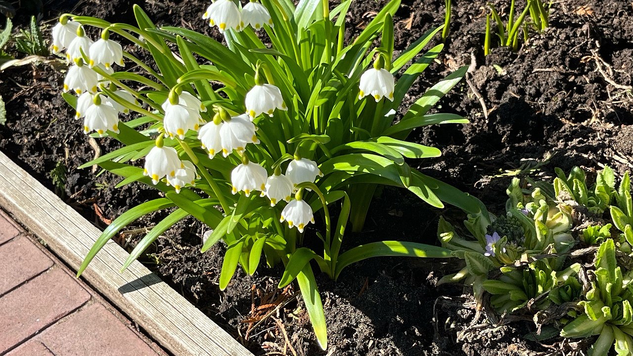 Главная картинка новости: В марте -10, а в мае уже +25: синоптики определили даты прихода аномальной жары - март, апрель и май удивят