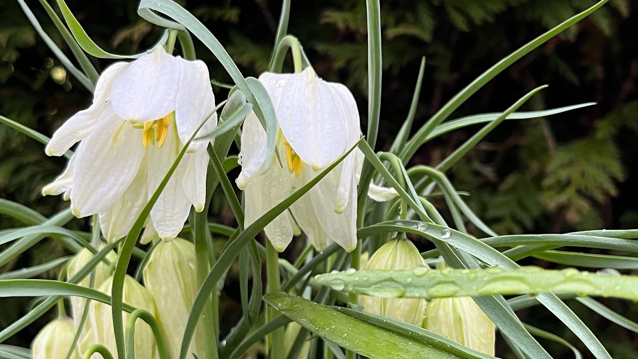 Главная картинка новости: Аномальная жара неожиданно придет в начале марта: настоящее лето нагрянет раньше, чем планировалось