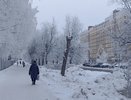 Весна никогда не вернется? Вильфанд обещал в марте 2025 дикие морозы до -35 после аномально теплой зимы
