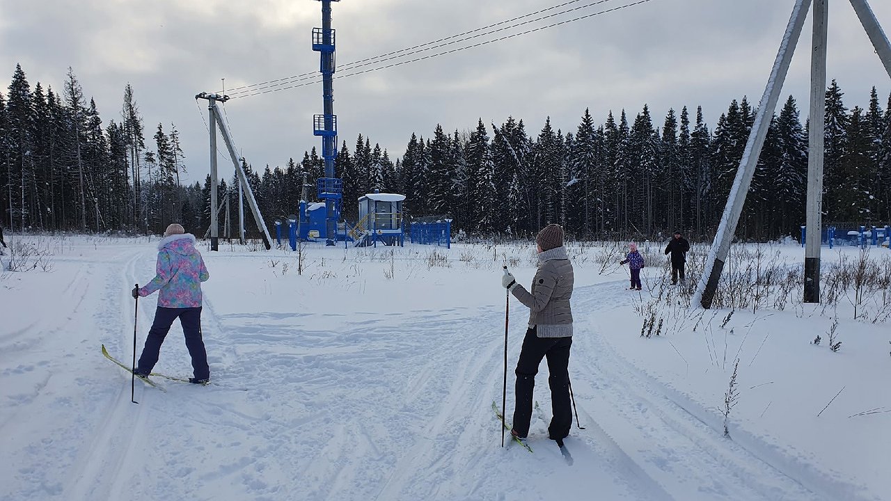 Главная картинка новости: Костромичек приглашают 8 Марта на лыжню