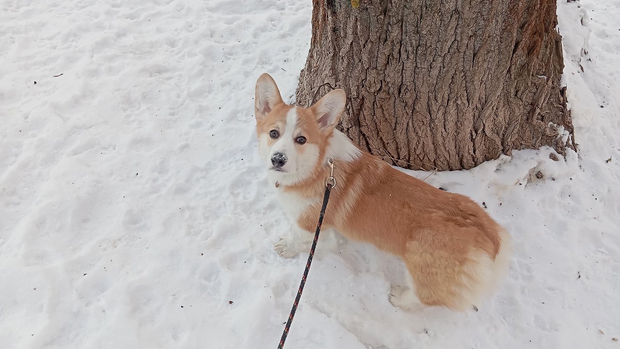 Главная картинка новости: Аномальная мартовская жара и майский холод: синоптики дали новый прогноз на весну 2025 — всё гораздо хуже, чем думали