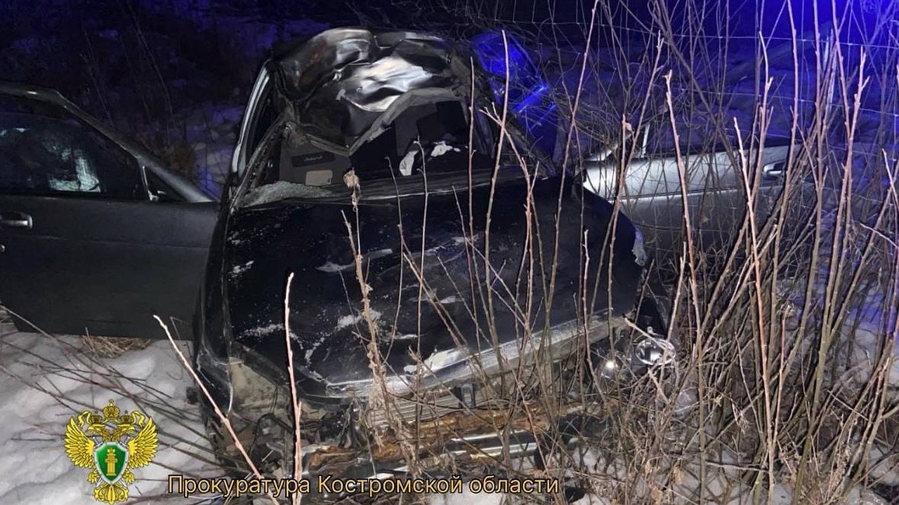 Главная картинка новости: В Костромской области в ДТП с лосем погиб водитель «Лады»