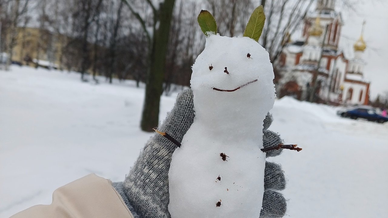 Главная картинка новости: Земляничная зима еще ой как аукнется весной и летом: синоптики дали новый прогноз на 2025 год