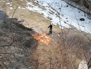 В Костроме третий день продолжается пал травы