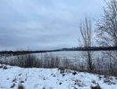 Реки Кострома и Алка загрязнены грязевыми стоками