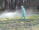 Двое костромичей пострадали от укуса клещей в 2025 году