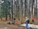 В Костроме на месяц раньше пройдут субботники