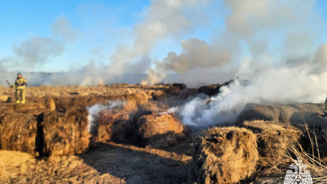 Главная картинка новости: В Костромской области из-за детской шалости и одной спички сгорело 50 кип сена