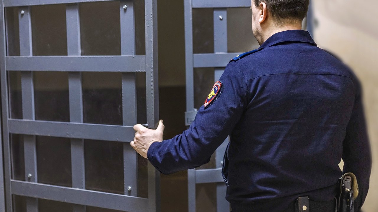 Главная картинка новости: Выпил за рождение ребенка, а потом обокрал: в Костроме задержали неблагодарного соседа