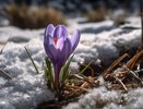 Морозы ударят в майские праздники, а июль принесет аномальную жару +30: ученые озвучили прогноз до зимы 2025 года