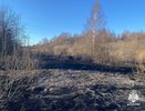 В Костромской области нашли четырех виновников пала травы