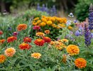 5 шикарных многолетников для самых ленивых: переносят жару, холод и засуху, посадили и забыли - идеальный ковер из цветов