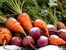 Снова нагрянет зима, заморозки будут долго: синоптики дали точный прогноз на конец апреля — дачники расплакались от погоды