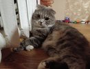 В костромских многоэтажках на три часа поднимут температуру теплоносителя до максимума