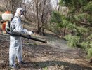 В Костроме для борьбы с клещами задействуют военную технику